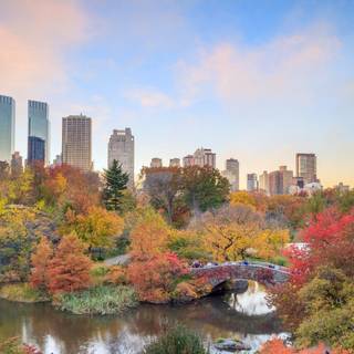 City park autumn wallpaper