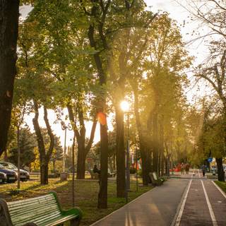 City park autumn wallpaper