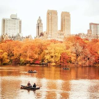 City park autumn wallpaper