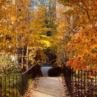 City park autumn wallpaper