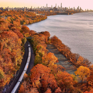 City park autumn wallpaper