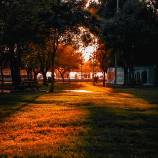 City park autumn wallpaper