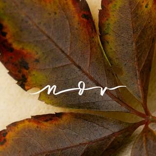 Autumn November iPad wallpaper