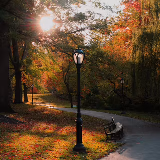 City park autumn wallpaper