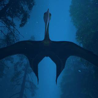 Hatzegopteryx wallpaper