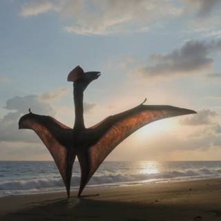 Hatzegopteryx wallpaper