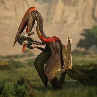 Hatzegopteryx wallpaper