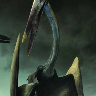 Hatzegopteryx wallpaper