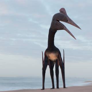 Hatzegopteryx wallpaper