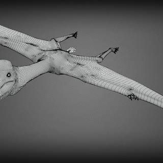 Hatzegopteryx wallpaper