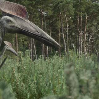 Hatzegopteryx wallpaper