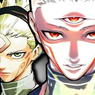 Maru Jujutsu Kaisen Modulo wallpaper