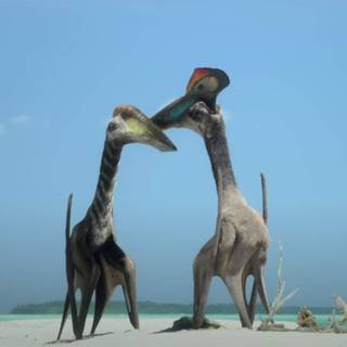 Hatzegopteryx wallpaper