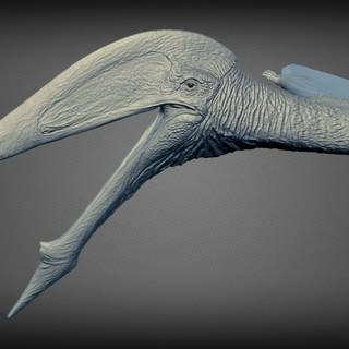 Hatzegopteryx wallpaper