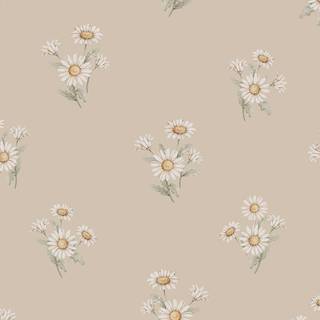 Beige with daisies wallpaper