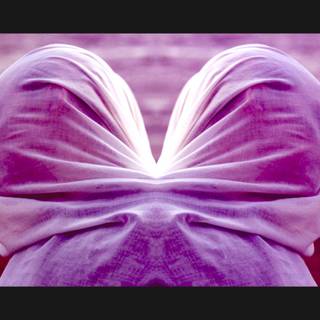 Kate Havnevik wallpaper