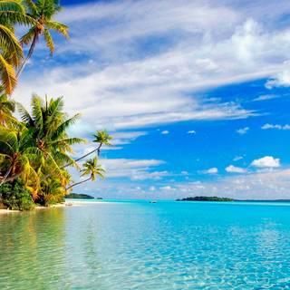 Nice beach wallpaper