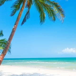 Nice beach wallpaper