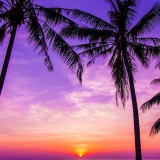 Nice beach wallpaper