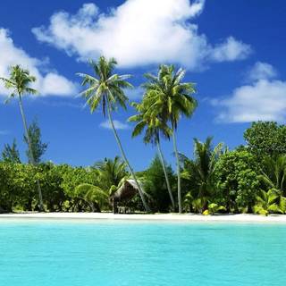 Nice beach wallpaper