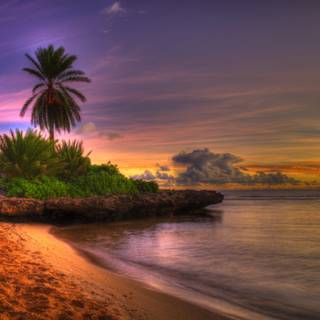 Nice beach wallpaper