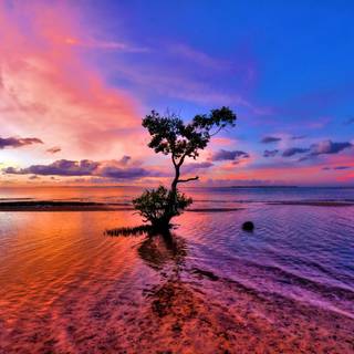 Nice beach wallpaper