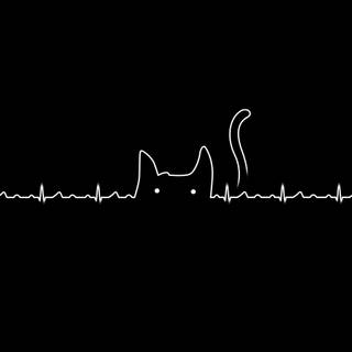 Aesthetic header wallpaper