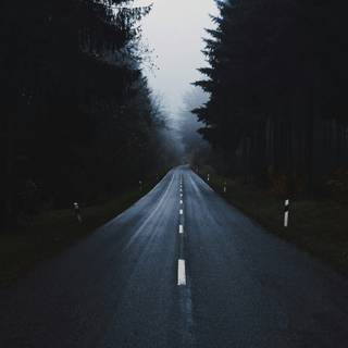 Aesthetic header wallpaper