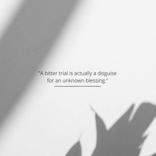 Aesthetic header wallpaper