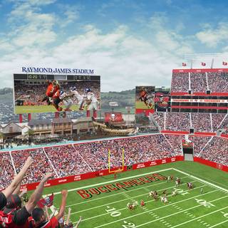 Raymond James Stadium wallpaper