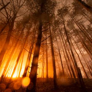 Orange glow wallpaper