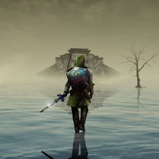 Shadow Link wallpaper