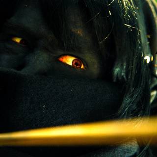 Shadow Link wallpaper