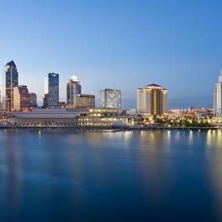 Tampa wallpaper