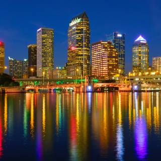Tampa wallpaper