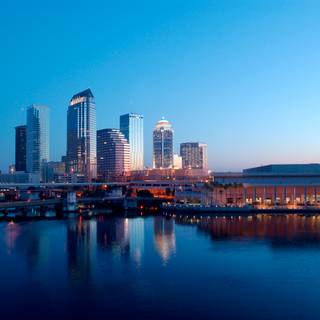 Tampa wallpaper