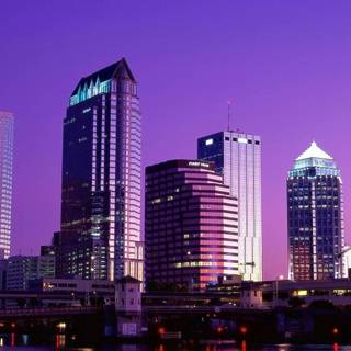 Tampa wallpaper
