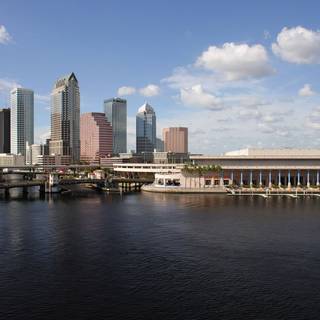 Tampa wallpaper