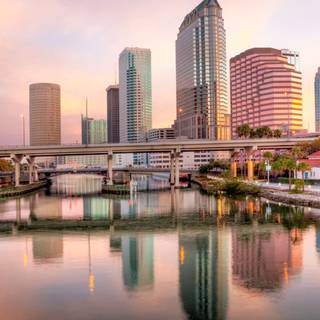 Tampa wallpaper