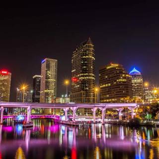Tampa wallpaper