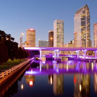 Tampa wallpaper