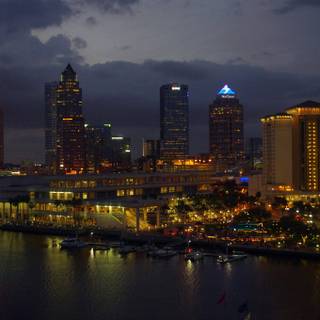 Tampa wallpaper