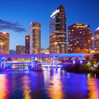 Tampa wallpaper