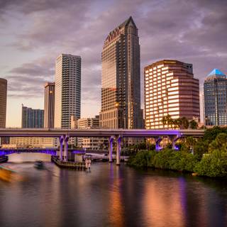 Tampa wallpaper