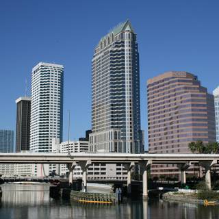 Tampa wallpaper