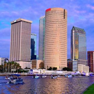 Tampa wallpaper