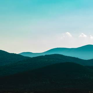 Green clean wallpaper