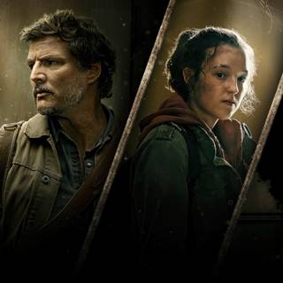 Film series wallpaper