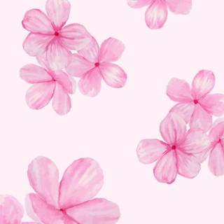 Flowers pink preppy wallpaper