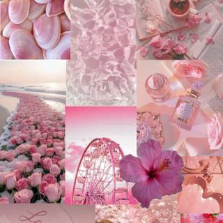 Flowers pink preppy wallpaper